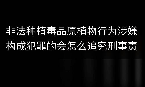 非法种植毒品原植物行为涉嫌构成犯罪的会怎么追究刑事责任