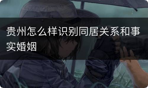 贵州怎么样识别同居关系和事实婚姻