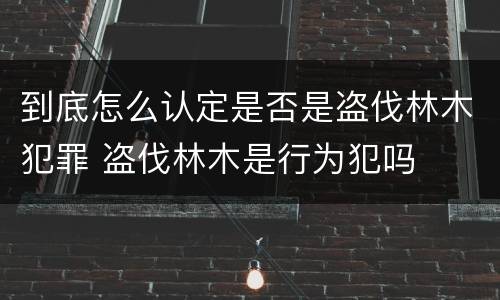 到底怎么认定是否是盗伐林木犯罪 盗伐林木是行为犯吗