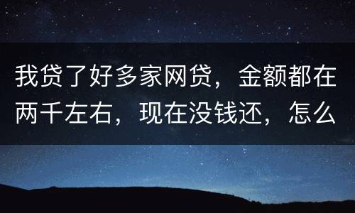 我贷了好多家网贷，金额都在两千左右，现在没钱还，怎么办呢