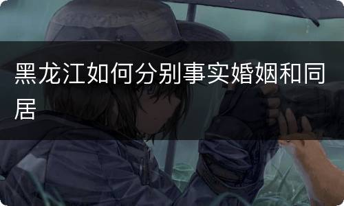 黑龙江如何分别事实婚姻和同居