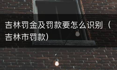 吉林罚金及罚款要怎么识别（吉林市罚款）