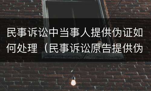 民事诉讼中当事人提供伪证如何处理（民事诉讼原告提供伪证怎么办）
