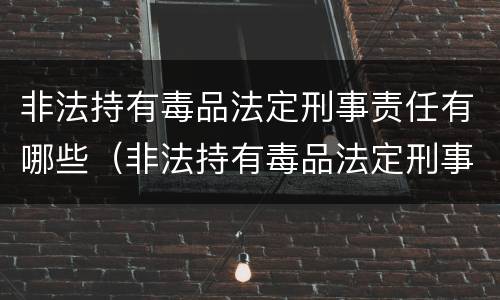 非法持有毒品法定刑事责任有哪些（非法持有毒品法定刑事责任有哪些条款）