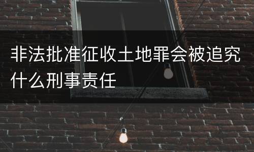 非法批准征收土地罪会被追究什么刑事责任