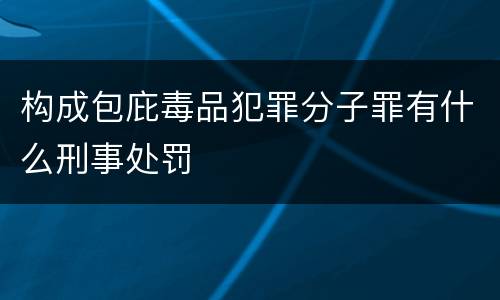 构成包庇毒品犯罪分子罪有什么刑事处罚