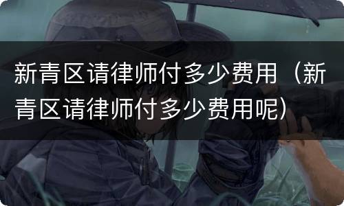 新青区请律师付多少费用（新青区请律师付多少费用呢）