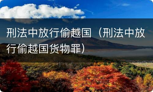刑法中放行偷越国（刑法中放行偷越国货物罪）