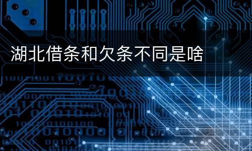 湖北借条和欠条不同是啥