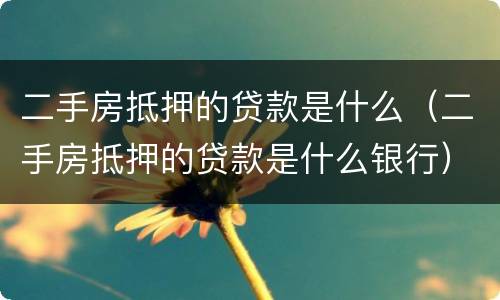 二手房抵押的贷款是什么（二手房抵押的贷款是什么银行）
