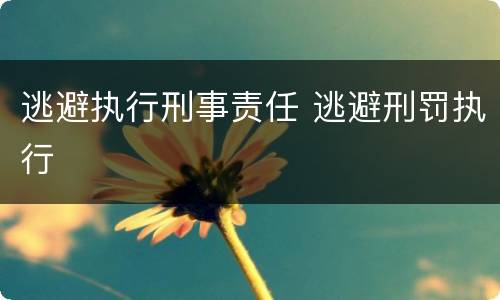 逃避执行刑事责任 逃避刑罚执行