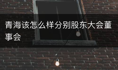青海该怎么样分别股东大会董事会