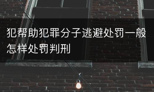 犯帮助犯罪分子逃避处罚一般怎样处罚判刑