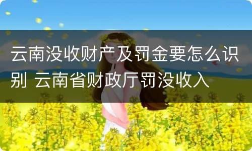 云南没收财产及罚金要怎么识别 云南省财政厅罚没收入
