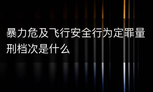 暴力危及飞行安全行为定罪量刑档次是什么