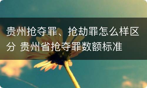 贵州抢夺罪、抢劫罪怎么样区分 贵州省抢夺罪数额标准