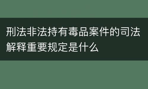 刑法非法持有毒品案件的司法解释重要规定是什么