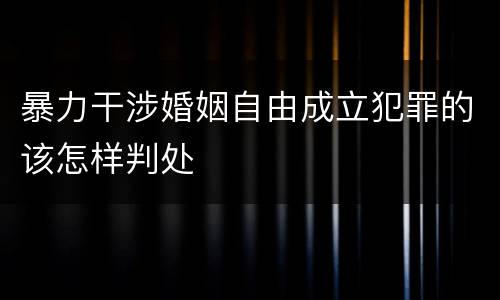 暴力干涉婚姻自由成立犯罪的该怎样判处