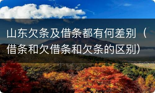 山东欠条及借条都有何差别（借条和欠借条和欠条的区别）