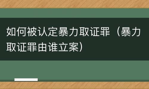 如何被认定暴力取证罪（暴力取证罪由谁立案）