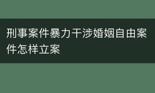 刑事案件暴力干涉婚姻自由案件怎样立案