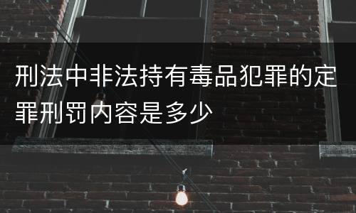 刑法中非法持有毒品犯罪的定罪刑罚内容是多少
