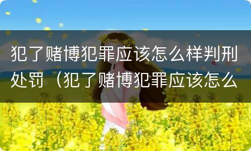 犯了赌博犯罪应该怎么样判刑处罚（犯了赌博犯罪应该怎么样判刑处罚多少）