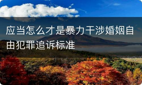 应当怎么才是暴力干涉婚姻自由犯罪追诉标准