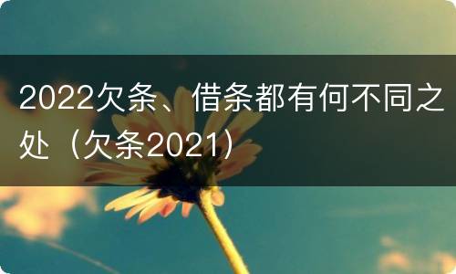 2022欠条、借条都有何不同之处（欠条2021）