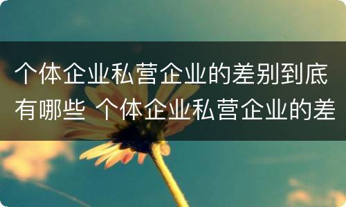 个体企业私营企业的差别到底有哪些 个体企业私营企业的差别到底有哪些问题