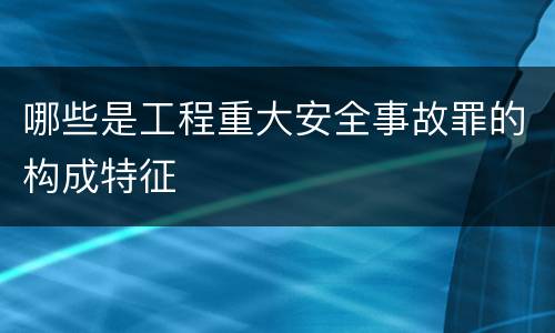 哪些是工程重大安全事故罪的构成特征