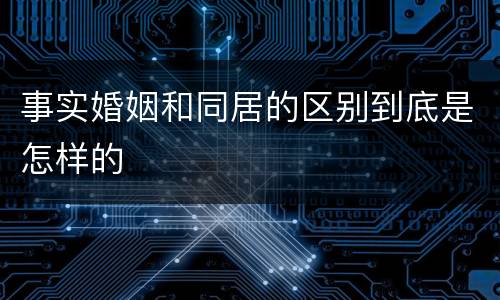 事实婚姻和同居的区别到底是怎样的