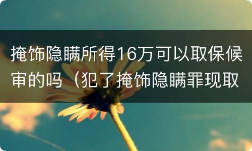 掩饰隐瞒所得16万可以取保候审的吗（犯了掩饰隐瞒罪现取保,能判多久）