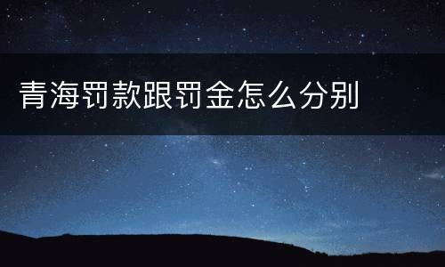 青海罚款跟罚金怎么分别