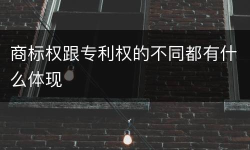 商标权跟专利权的不同都有什么体现