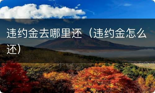 违约金去哪里还（违约金怎么还）