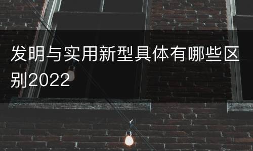 发明与实用新型具体有哪些区别2022