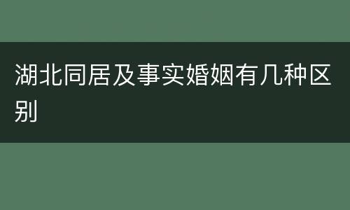 湖北同居及事实婚姻有几种区别