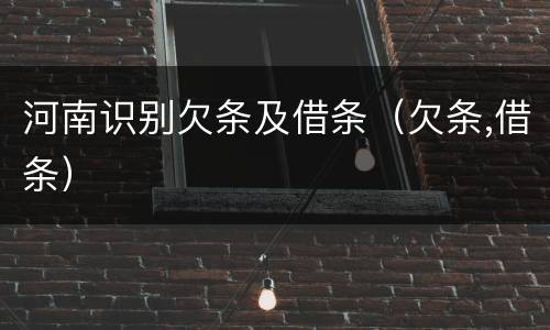 河南识别欠条及借条（欠条,借条）