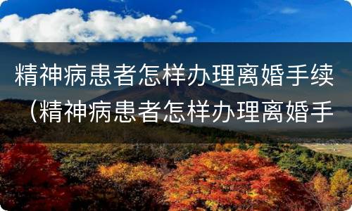 精神病患者怎样办理离婚手续（精神病患者怎样办理离婚手续呢）