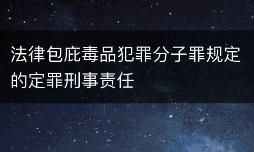 法律包庇毒品犯罪分子罪规定的定罪刑事责任