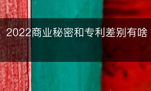 2022商业秘密和专利差别有啥