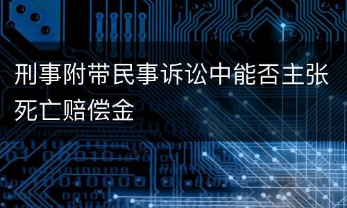 刑事附带民事诉讼中能否主张死亡赔偿金