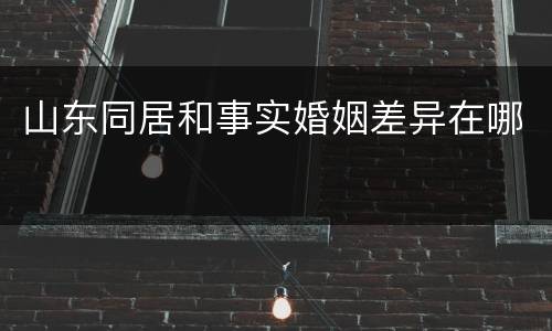 山东同居和事实婚姻差异在哪