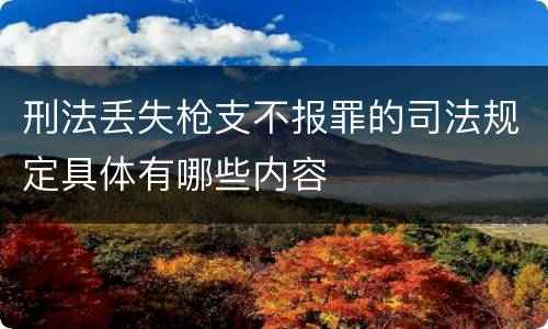 刑法丢失枪支不报罪的司法规定具体有哪些内容