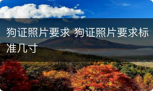 狗证照片要求 狗证照片要求标准几寸