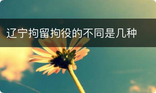 辽宁拘留拘役的不同是几种