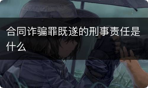 合同诈骗罪既遂的刑事责任是什么