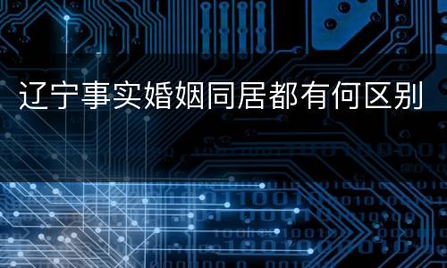 辽宁事实婚姻同居都有何区别