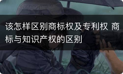 该怎样区别商标权及专利权 商标与知识产权的区别